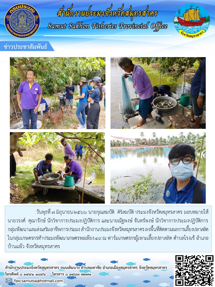 วันพุธที่ 7 มิถุนายน 2566 นายกุณสมบัติ  ศิริสมบัติ ประมงจังหวัดสมุทรสาคร  มอบหมายให้นายวรงค์  คุณารักษ์  นักวิชาการประมงปฏิบัติการ และนายณัฐพงษ์  จันทร์พงษ์  นักวิชาการประมงปฏิบัติการ กลุ่มพัฒนาและส่งเสริมอาชีพการประมง สำนักงานประมงจังหวัดสมุทรสาคร  ลงพื้นที่ติดตามผลการเลี้ยงปลาสลิดในกลุ่มเกษตรกรทำประมงพัฒนาเกษตรพอเพียง 49 ณ ฟาร์มเกษตรกรผู้เลียงปลาสลิด ตำบลโรงเข้  อำเภอบ้านแพ้ว  จังหวัดสมุทรสาคร