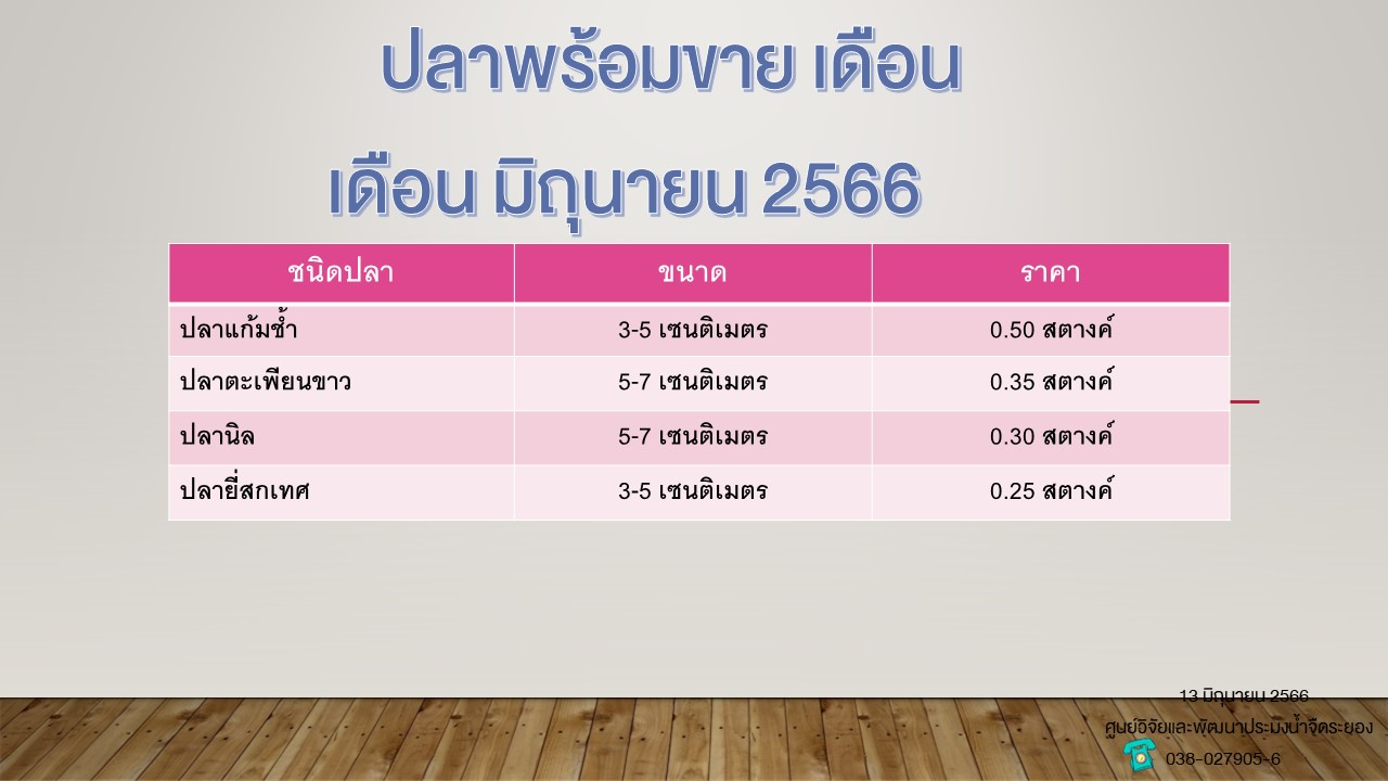 ปลาพร้อมขาย วันที่ 13 มิถุนายน 2566..คลิก