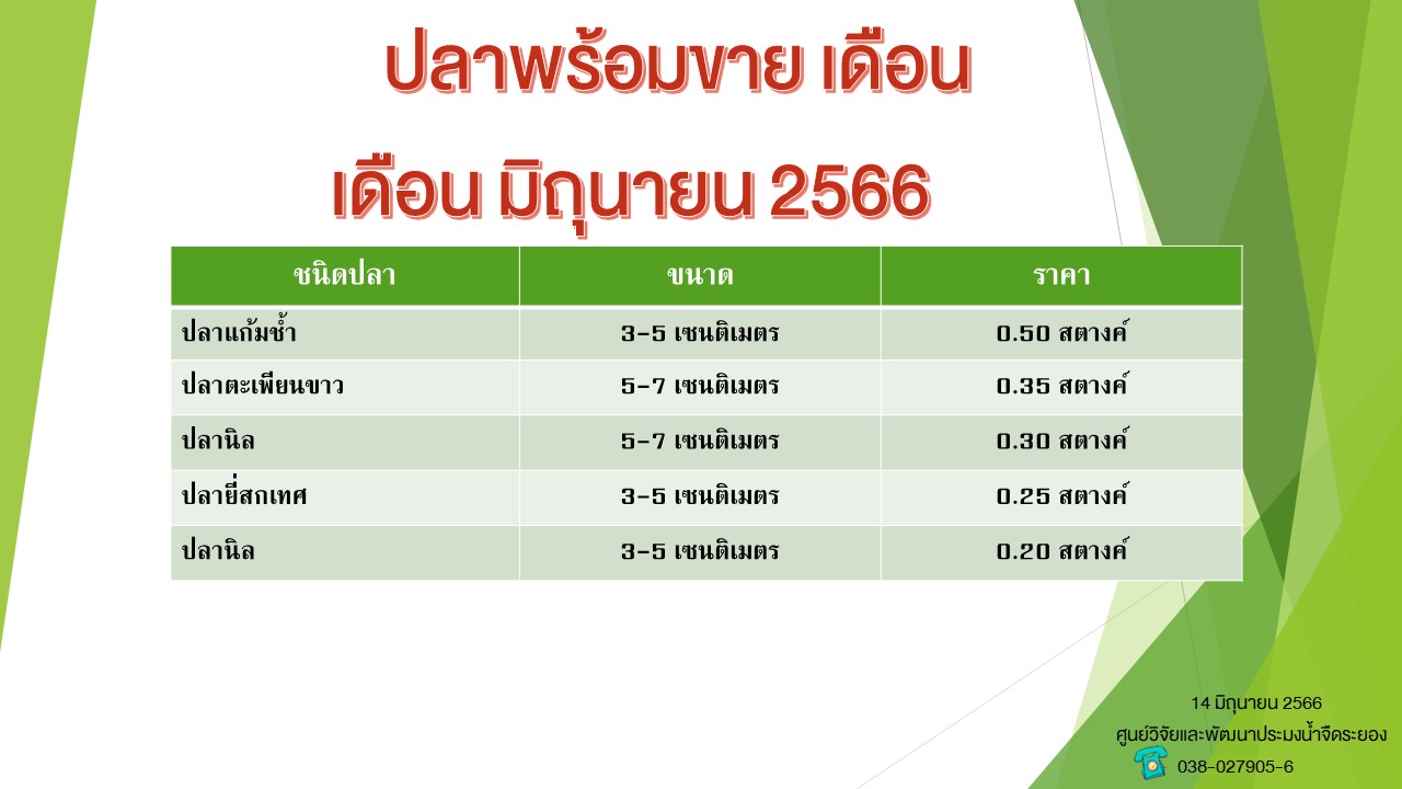 ปลาพร้อมขาย วันที่ 14 มิถุนายน 2566..คลิก
