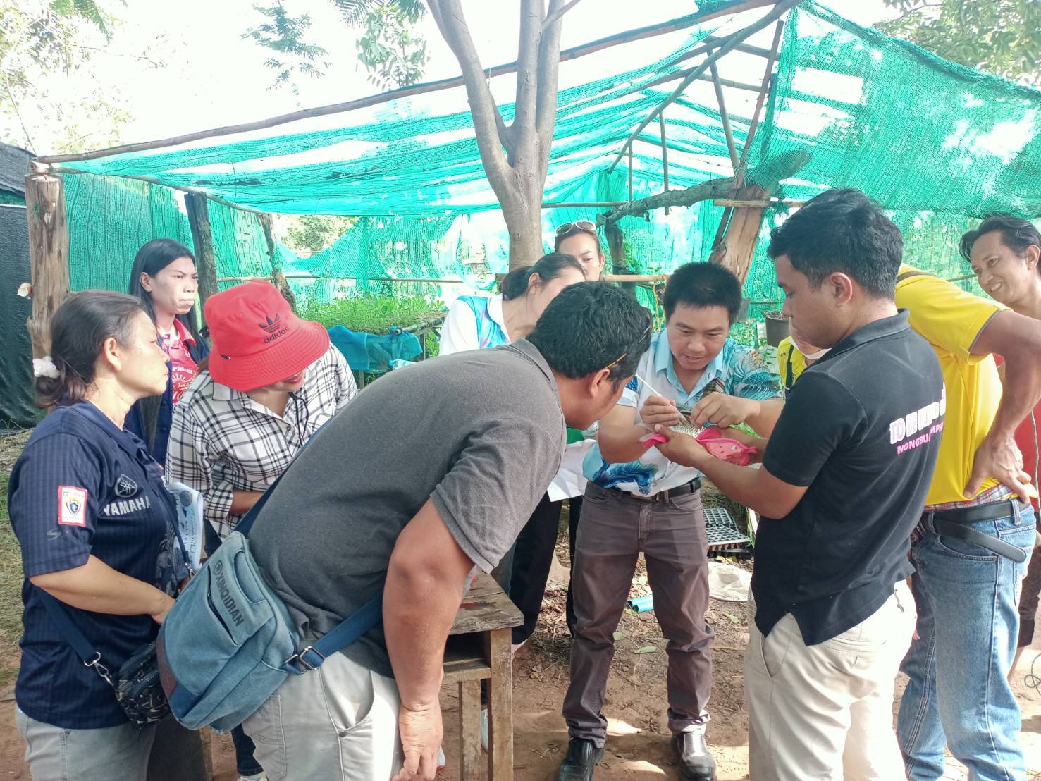 วันที่ 19 กันยายน 2566 เวลา 13.00 น. นายสมภาร วังคีรี ประมงอำเภอเมืองหนองบัวลำภู บูรณาการ Young Smart Farmer อำเภอเมืองหนองบัวลำภู ที่มีความสนใจเพาะพันธุ์ปลาตะเพียนขาว โดยใช้ชุดเพาะพันธุปลาเคลื่อนที่ (Mobile Hatchery)..คลิก