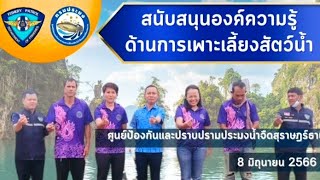 ข่าวประชาสัมพันธ์