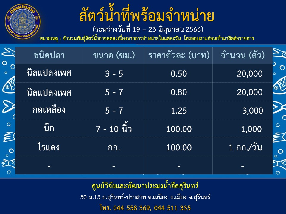 ปลาพร้อมจำหน่ายวันที่ 19 มิถุนายน 23 มิถุนายน 2566