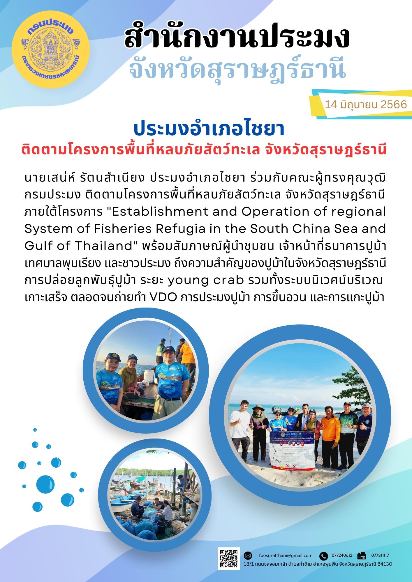 ประมงอำเภอไชยา ติดตามโครงการพื้นที่หลบภัยสัตว์ทะเล จังหวัดสุราษฎร์ธานี..คลิก
