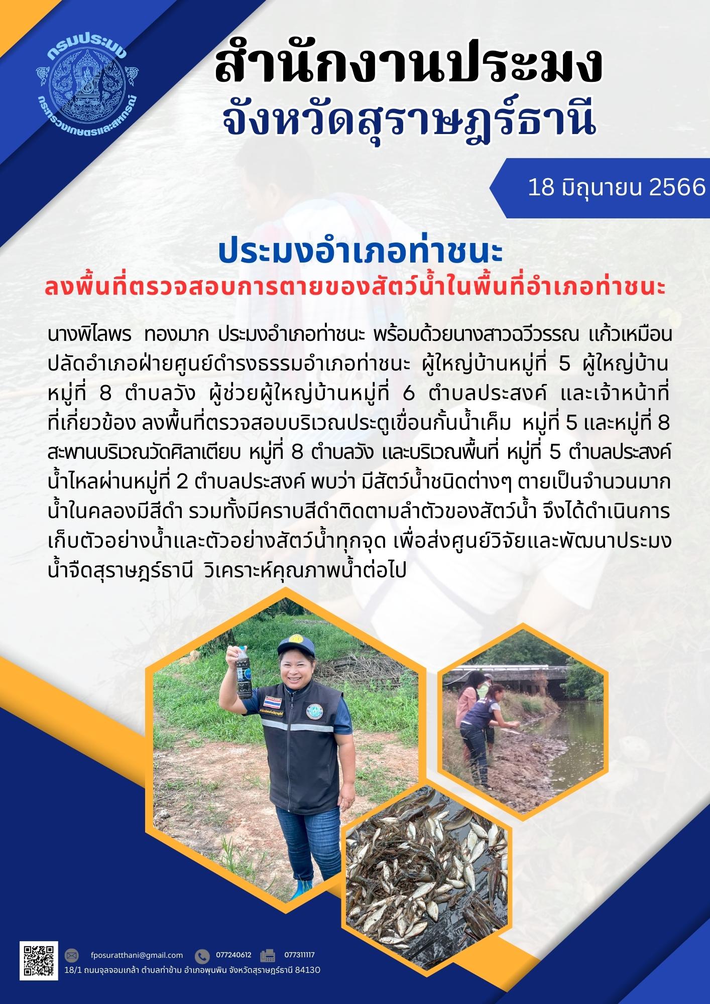 ประมงอำเภอท่าชนะ ลงพื้นที่ตรวจสอบการตายของสัตว์น้ำในพื้นที่อำเภอท่าชนะ..คลิก
