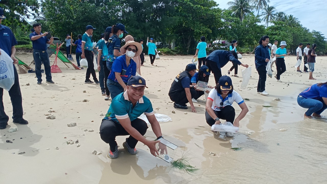 กิจกรรมฟอกทรายคืนสู่ทะเล wash the sand back to the sea และร่วมปล่อยพันธุ์ปูม้า..คลิก