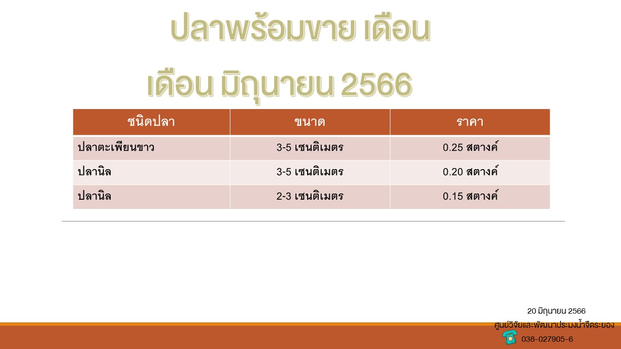 ปลาพร้อมขาย วันที่ 20 มิถุนายน 2566..คลิก