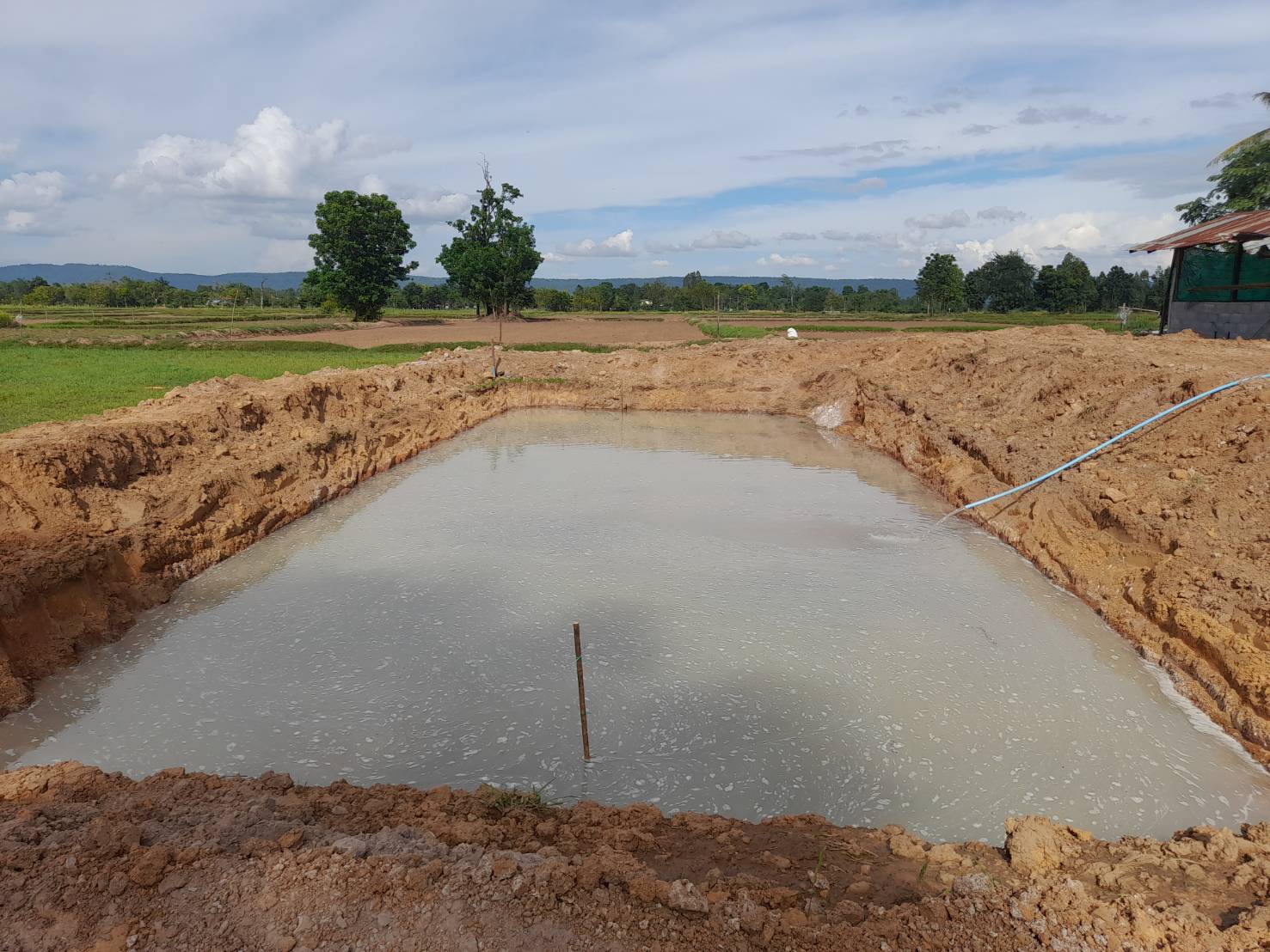 วันที่ 20 มิถุนายน 2566(09.00น) นายวิทยา ประเสริฐสังข์  ประมงอำเภอโนนสัง ร่วมกับสมาชิกเกษตรกรกลุ่มเพาะพันธุ์ปลาตะเพียนบ้านโคกกลาง ตำบลโนนสังร่วมกันปล่อยลูกปลาตะพียนที่ได้จากการเพาะพันธุ์ปลาตะเพียนขาวด้วยชุดเพาะพันธุ์ปลาเคลื่อนที่ (hatchery mobile) พร้อมให้คำแนะนำการอนุบาลลูกพันธุ์วัยอ่อนในช่วงอนุบาลอีก 2 เดือน..คลิก