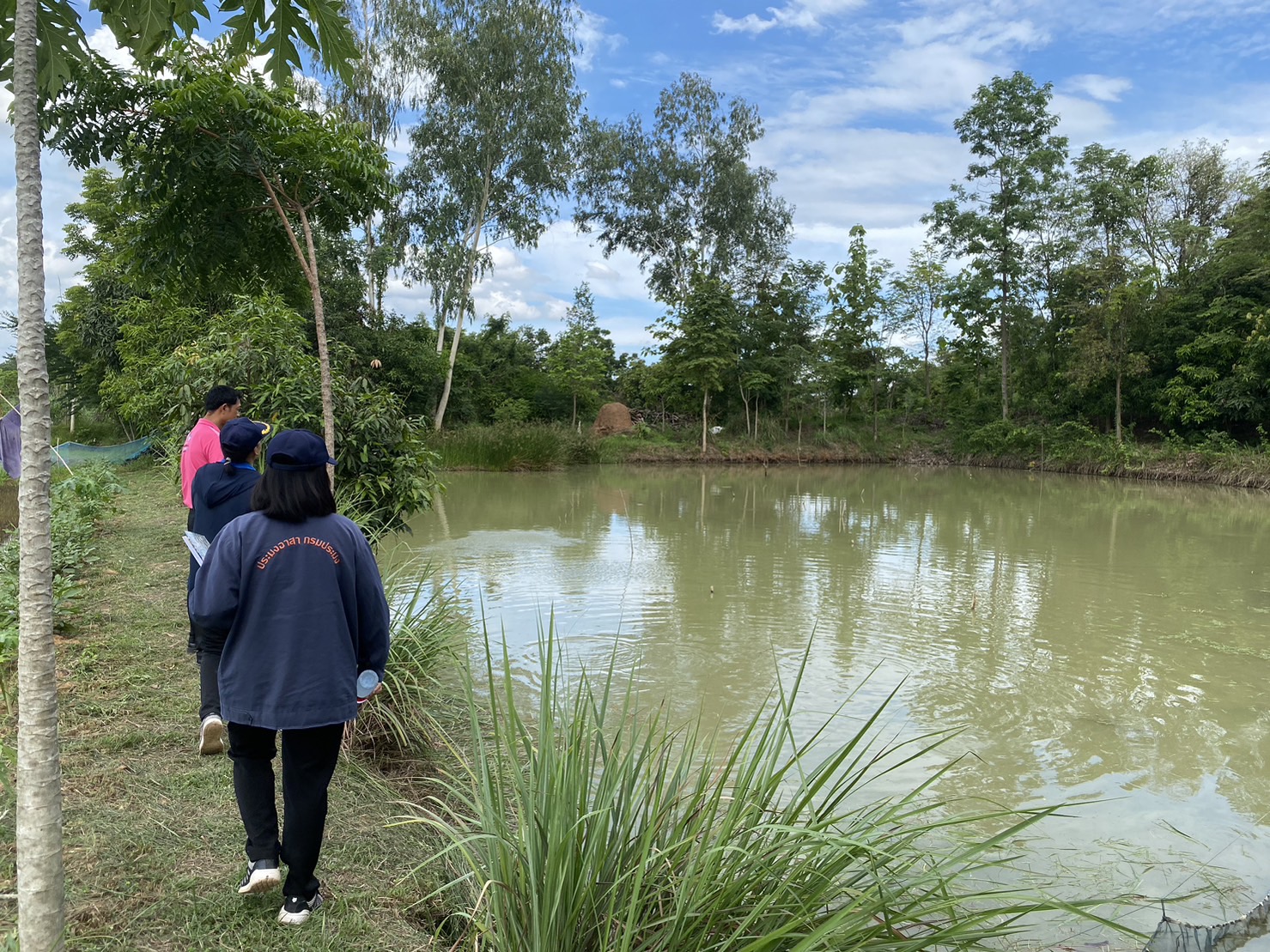 วันที่ 20 มิถุนายน 2566  นางสาวมลฤดี ลิ้มสุวรรณ ประมงอำเภอศรีบุญเรือง พร้อมด้วยนายธีรศักดิ์ ศรีร่องหอย นักวิชาการประมงปฏิบัติการ นางสาวดาพร หนันทะ เจ้าพนักงานประมงชำนาญงาน นายไพศาล ศรีคูณ นักวิชาการประมง และนางสาวสายสมร พลบรูณ์ นักวิชาการประมง สำนักงานประมงจังหวัดหนองบัวลำภู ปฏิบัติงานให้คำแนะนำและเตรียมความพร้อมของเกษตรกรกลุ่มแปลงใหญ่ปลาตะเพียนขาว กลุ่มผู้เลี้ยงปลาตำบลหนองแก ในการขอรับรองมาตรฐานสินค้าเกษตร การปฏิบัติทางการเพาะเลี้ยงสัตว์น้ำที่ดี สำหรับฟาร์มเลี้ยงสัตว์น้ำเพื่อการบริโภค มกษ. 7436-2563..คลิก
