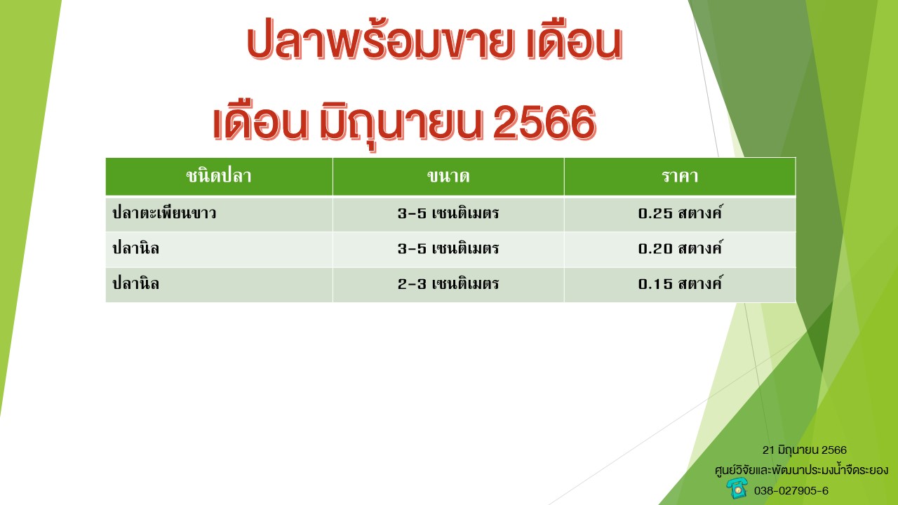 ปลาพร้อมขาย วันที่ 21 มิถุนายน 2566..คลิก