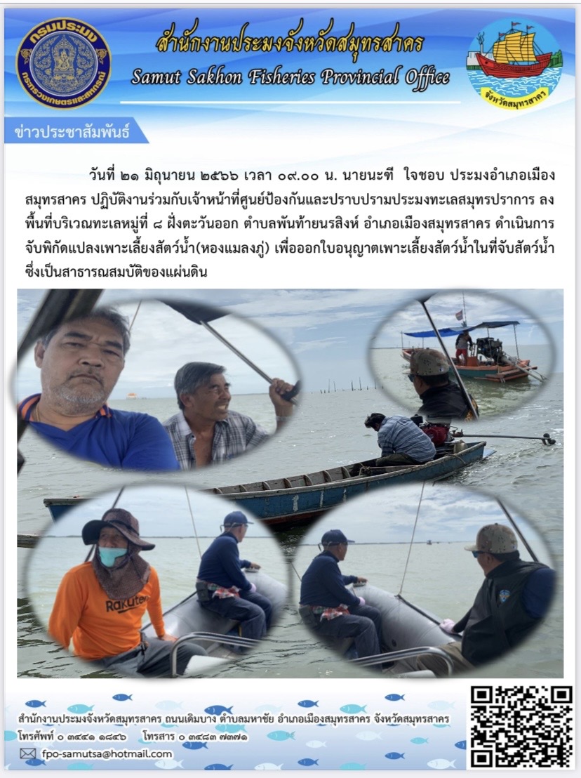 วันที่ 21 มิถุนายน 2566 เวลา 09.00 น. นายนะฑี  ใจชอบ  ประมงอำเภอเมืองสมุทรสาคร  ปฏิบัติงานร่วมกับเจ้าหน้าที่ศูนย์ป้องกันและปราบปรามประมงทะเลสมุทรปราการ ลงพื้นที่บริเวณทะเล หมู่ที่ 8 ฝั่งตะวันออก ตำบลพันท้ายนรสิงห์ อำเภอเมืองสมุทรสาคร จังหวัดสมุทรสาคร   ดำเนินการจับพิกัดแปลงเพาะเลี้ยงสัตว์น้ำ  (หอยแมลงภู่)..คลิก