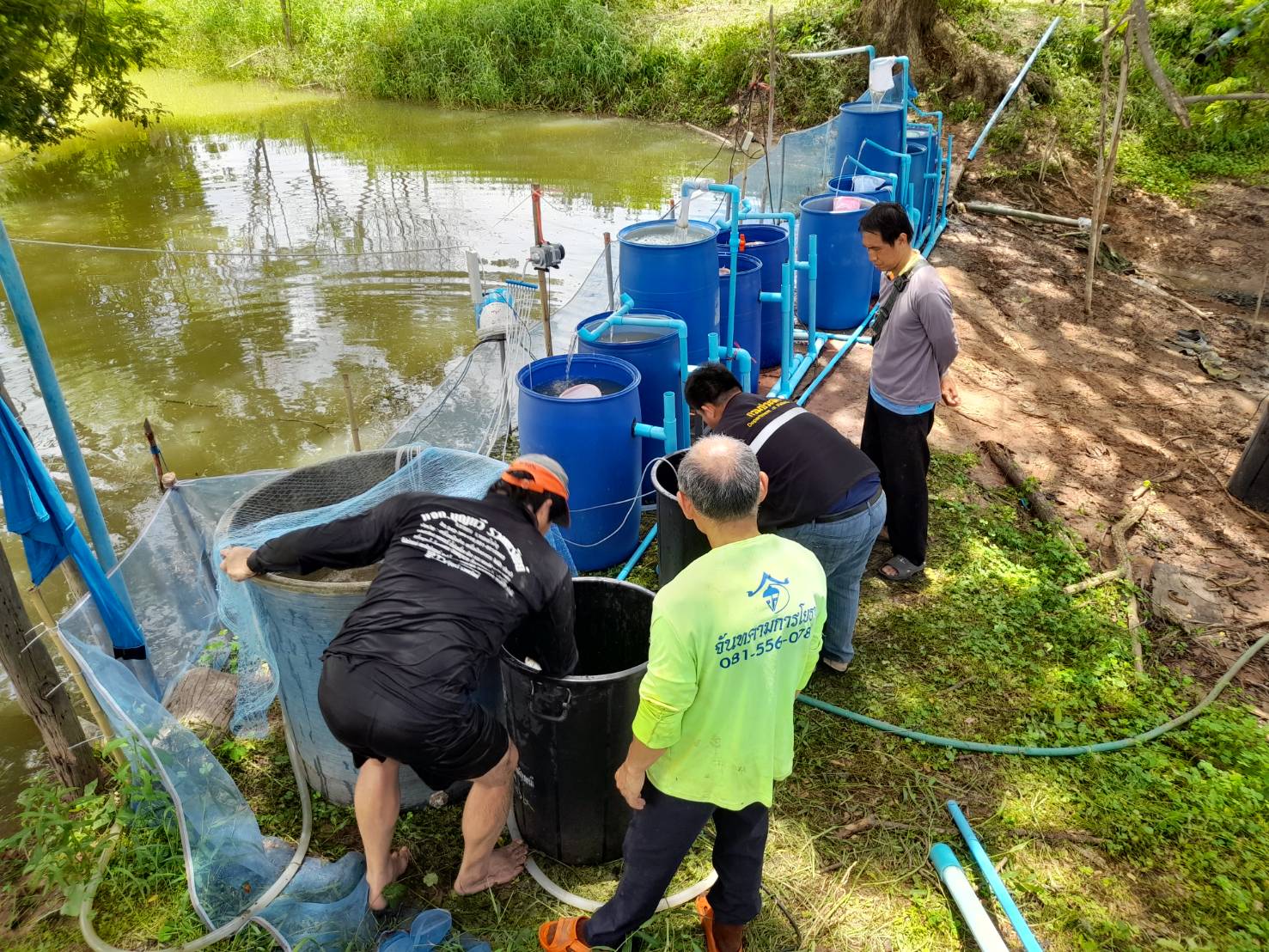 วันที่ 22 มิถุนายน พ.ศ.2566  นางสาวมลฤดี  ลิ้มสุวรรณ ประมงอำเภอศรีบุญเรือง และ นายไพศาล ศรีคูณ นักวิชาการประมง สำนักงานประมงจังหวัดหนองบัวลำภู ร่วมกับสมาชิกกลุ่มเพาะพันธุ์ปลาบ้านหนองม่วงชมพูทอง (ปี 2565) สมาชิกกลุ่มเพาะพันธุ์ปลาแปลงใหญ่พืชผักหนองม่วงชมพูทอง (ปี2566) ดำเนินการเพาะพันธุ์ปลาสร้อยขาวด้วยชุดเพาะพันธุ์ปลาเคลื่อนที่..คลิก