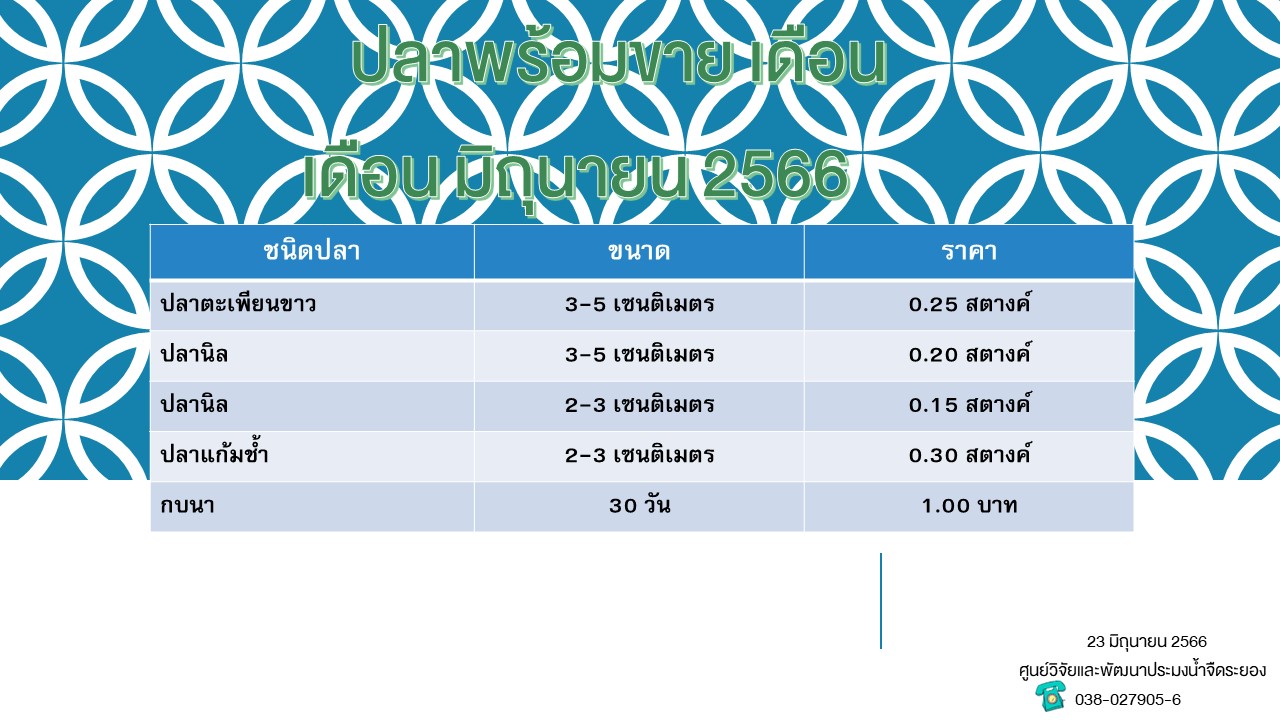 ปลาพร้อมขาย วันที่ 23 มิถุนายน 2566..คลิก