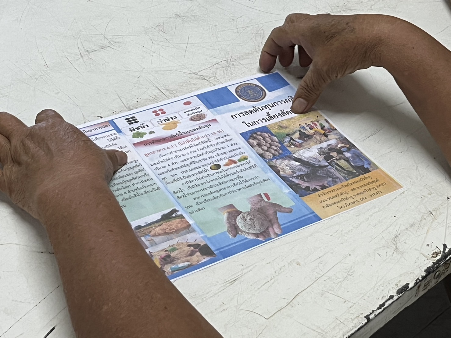 วันที่ 23 มิถุนายน 2566  นายวิทยา ประเสริฐสังข์ ประมงอำเภอโนนสัง ร่วมเป็นวิทยากรโครงการพลังสังคมขับเคลื่อนการพัฒนาคุณภาพชีวิต กิจกรรมส่งเสริมครัวเรือนรายได้น้อยให้ดำรงชีวิตตามแนวทางของเศรษฐกิจพอเพียง ซึ่งบรรยายในห้วข้อการลดต้นทุนการผลิตในการเลี้ยงสัตว์น้ำ:สาธิตการทำอาหารสัตว์น้ำแบบลดต้นทุน..คลิก