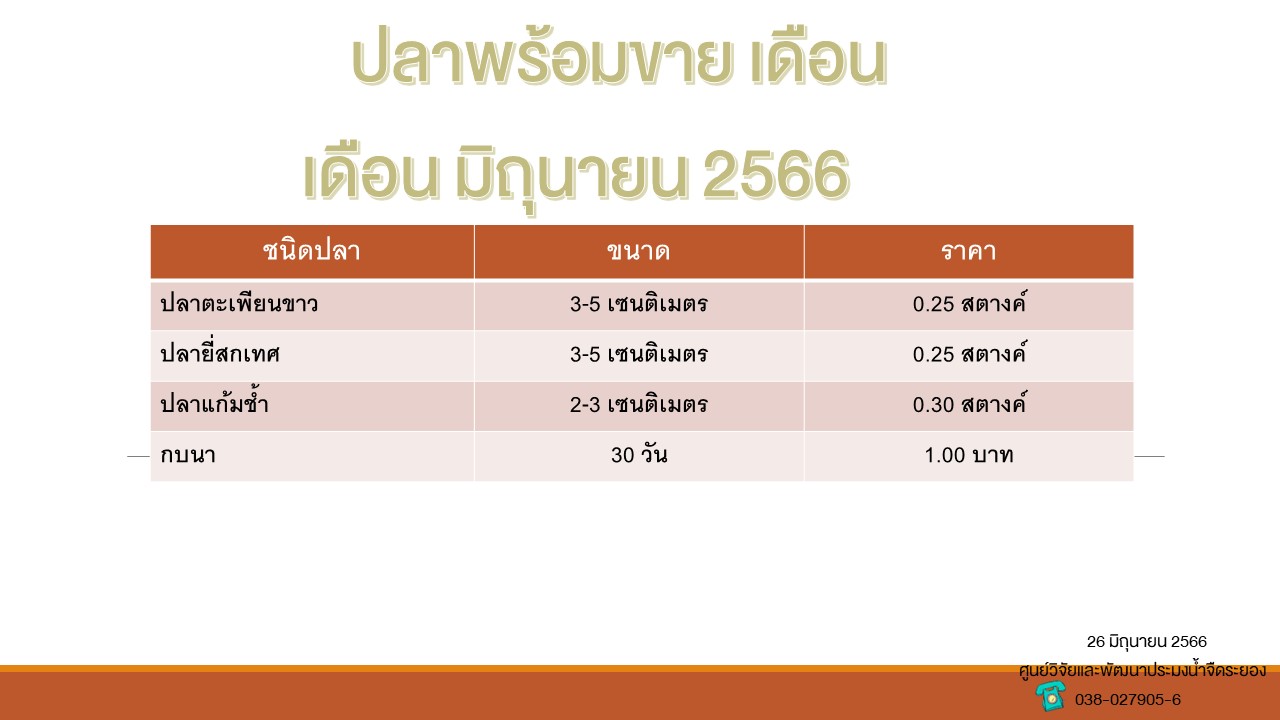 ปลาพร้อมขาย วันที่ 26 มิถุนายน 2566..คลิก
