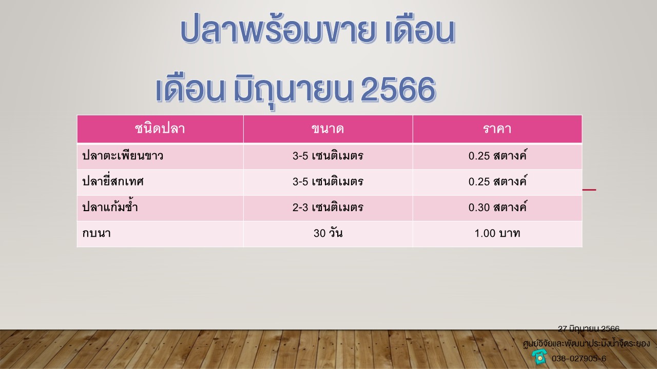 ปลาพร้อมขาย วันที่ 27 มิถุนายน 2566..คลิก