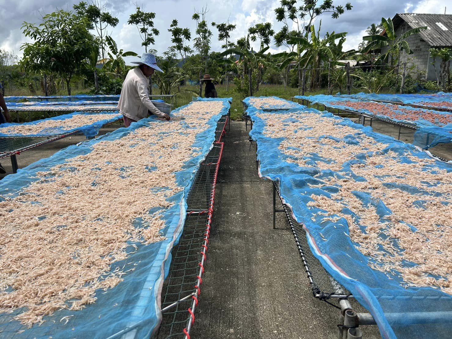 สำนักงานประมงจังหวัดสตูล ลงพื้นที่ตรวจเยี่ยมศูนย์จำหน่ายสินค้าแปรรูปอาหารทะเล ตามโครงการ Firsherman  Market & Shop สาขา 1 เขตพื้นที่ตำบลขอนคลาน และสาขา 2 เขตพื้นที่ตำบลทุ่งหว้า อำเภอทุ่งหว้า จังหวัดสตูล