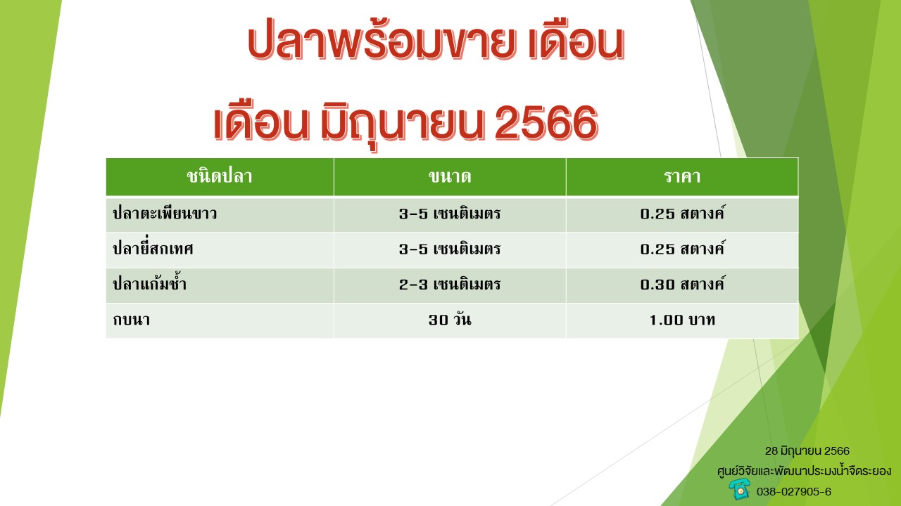 ปลาพร้อมขาย วันที่ 28 มิถุนายน 2566..คลิก