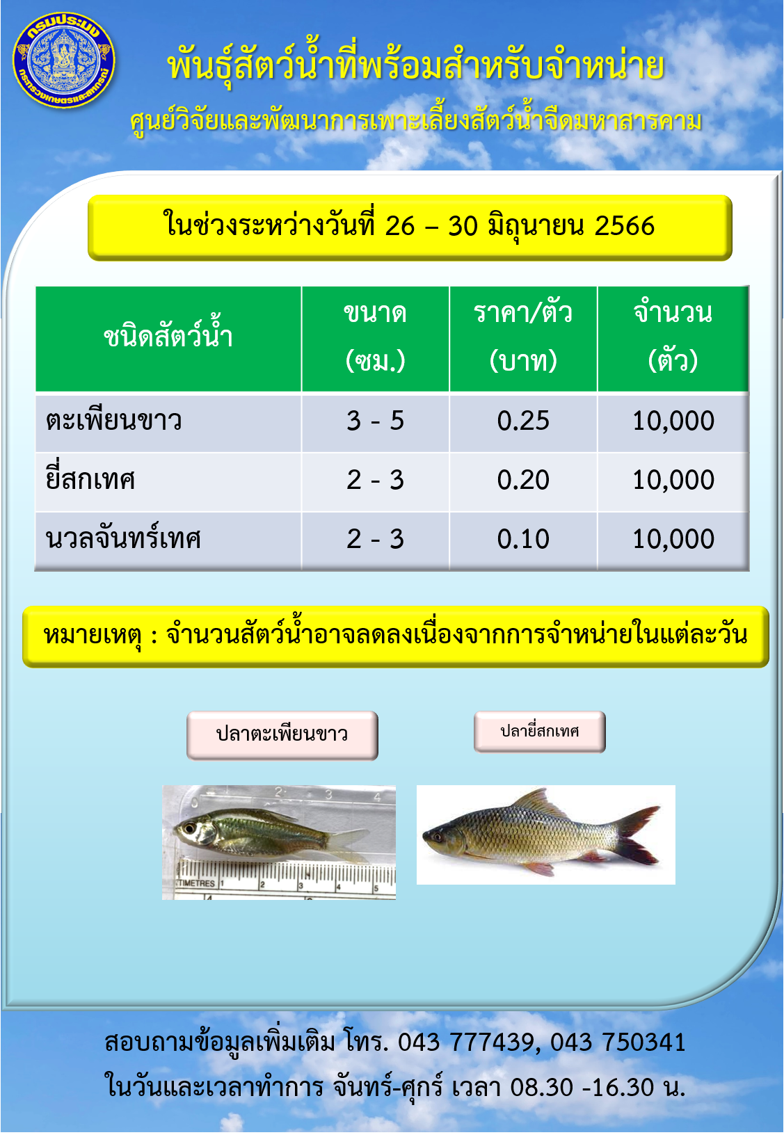 พันธุ์สัตว์น้ำที่พร้อมสำหรับจำหน่าย ระหว่างวันที่ 26 –  30 มิถุนายน 2566..คลิก