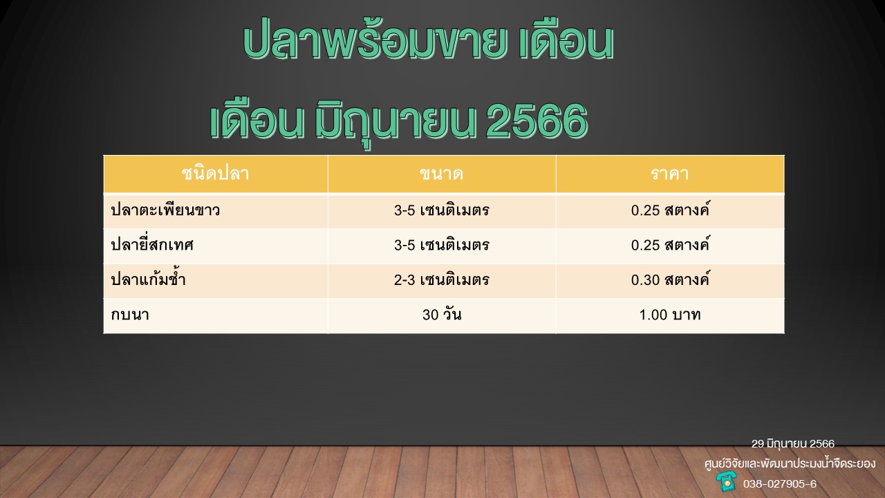 ปลาพร้อมขาย วันที่ 29 มิถุนายน 2566..คลิก