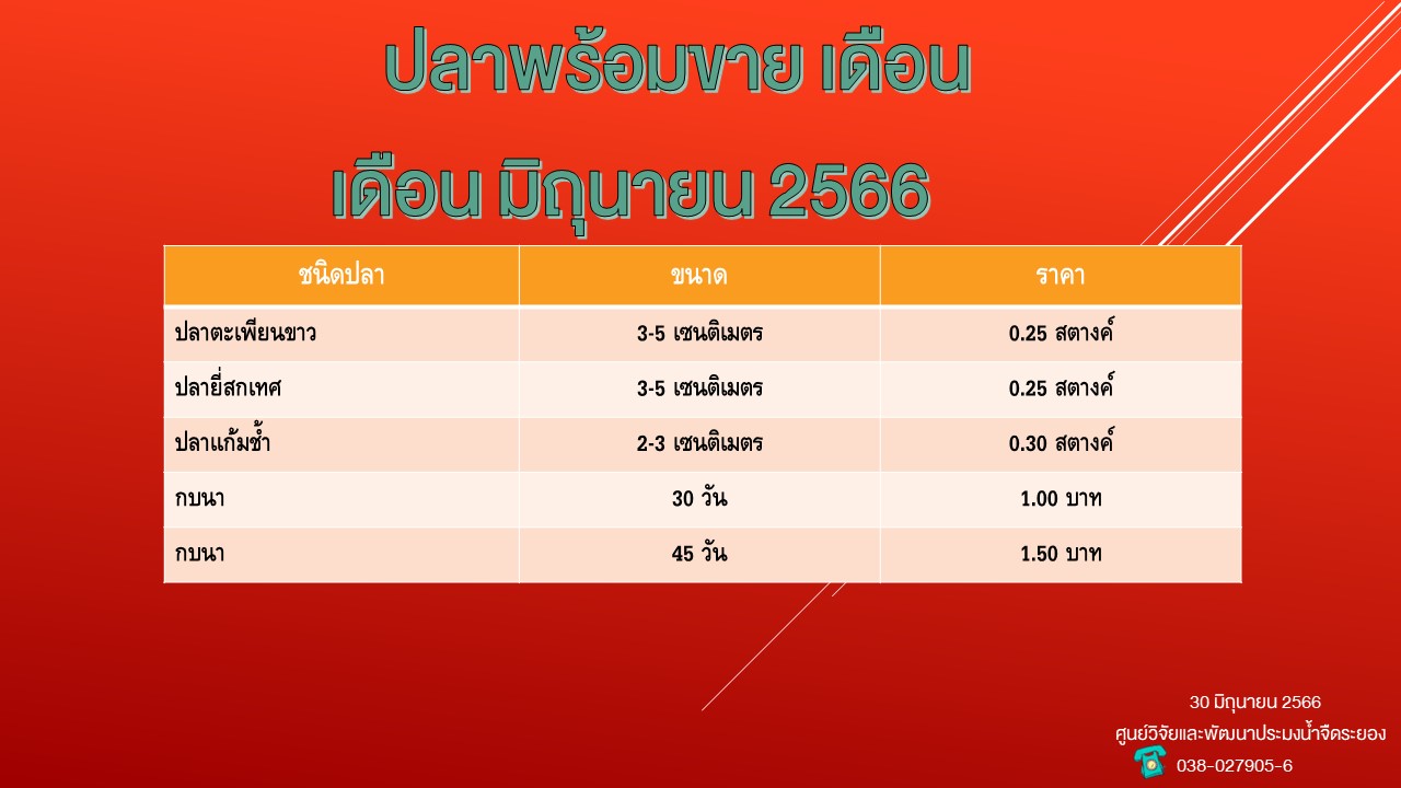 ปลาพร้อมขาย วันที่ 30 มิถุนายน 2566..คลิก