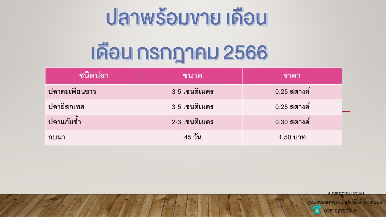 ปลาพร้อมขาย วันที่ 4 กรกฎาคม 2566..คลิก