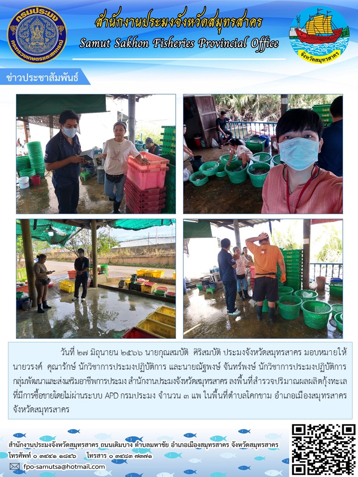 วันที่ 27 มิถุนายน 2566 นายกุณสมบัติ  ศิริสมบัติ ประมงจังหวัดสมุทรสาคร มอบหมายให้นายวรงค์  คุณารักษ์ ตำแหน่ง นักวิชาการประมงปฏิบัติการ และนายณัฐพงษ์  จันทร์พงษ์  ตำแหน่ง นักวิชาการประมงปฏิบัติการ  กลุ่มพัฒนาและส่งเสริมอาชีพการประมง สำนักงานประมงจังหวัดสมุทรสาคร  ลงพื้นที่สำรวจปริมาณผลผลิตกุ้งทะเลที่มีการซื้อขายโดยไม่ผ่านระบบ APD กรมประมง  จำนวน 3 แพ  ในพื้นที่ตำบลโคกขาม อำเภอเมืองสมุทรสาคร จังหวัดสมุทรสาคร