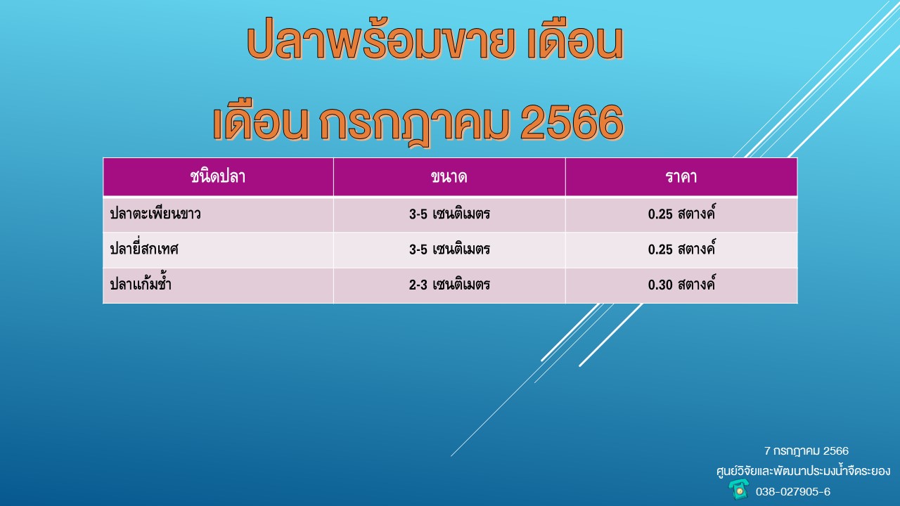ปลาพร้อมขาย วันที่ 7 กรกฎาคม 2566..คลิก