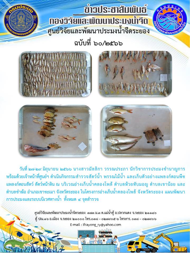 ข่าวประชาสัมพันธ์กิจกรรม ฉบับที่ 60/2566..คลิก