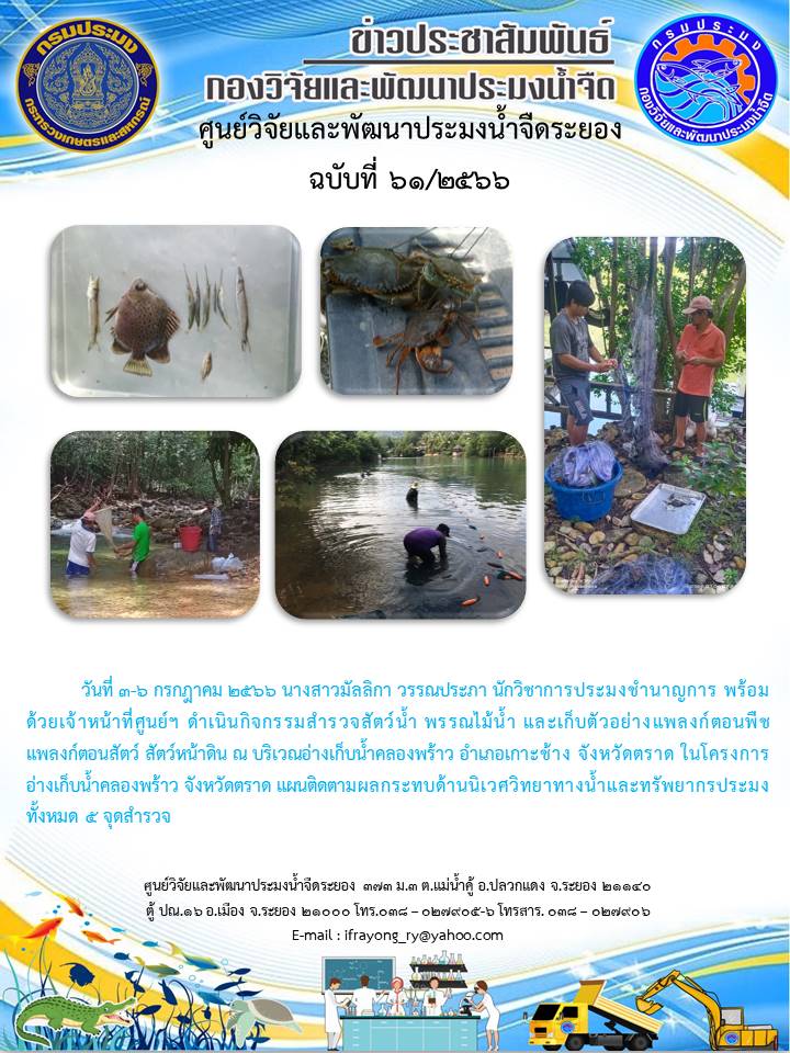 ข่าวประชาสัมพันธ์กิจกรรม ฉบับที่ 61/2566..คลิก