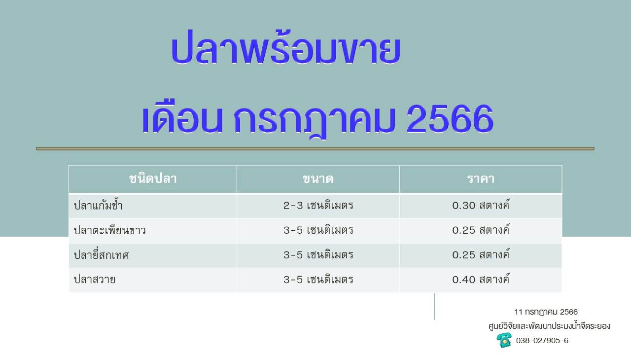 ปลาพร้อมขาย วันที่ 11 กรกฎาคม 2566..คลิก