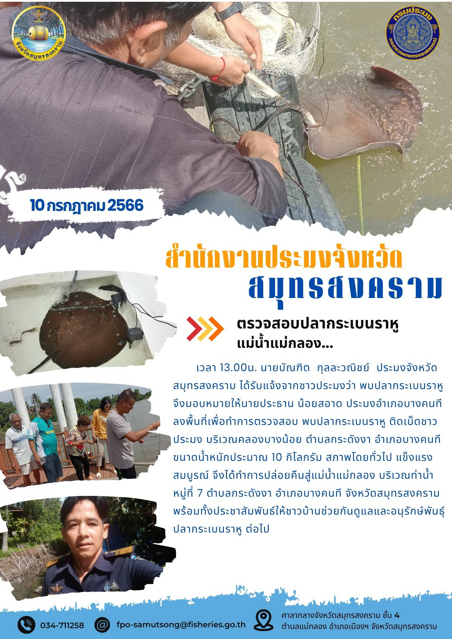 ตรวจสอบปลากระเบนราหูแม่น้ำแม่กลอง..คลิก