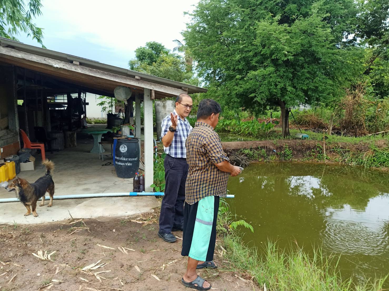 สำนักงานประมงอำเภอหนองปรือ ลงพื้นที่พบปะเกษตรกร..คลิก