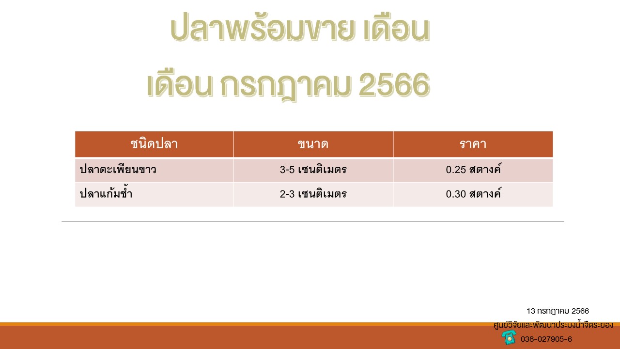 ปลาพร้อมขาย วันที่ 13 กรกฎาคม 2566..คลิก
