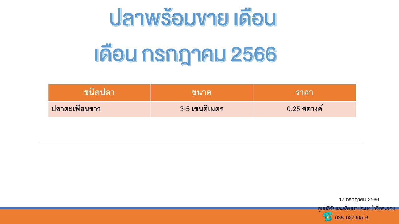 ปลาพร้อมขาย วันที่ 17 กรกฎาคม 2566..คลิก