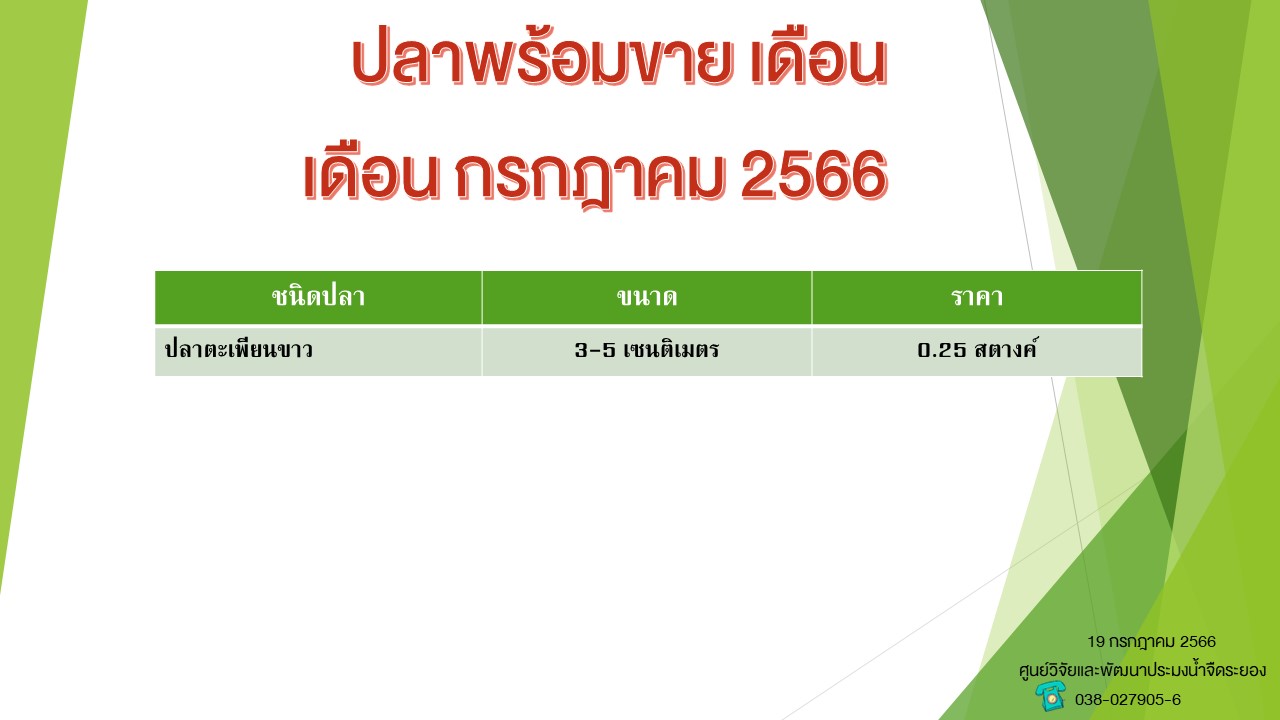 ปลาพร้อมขาย วันที่ 19 กรกฎาคม 2566..คลิก