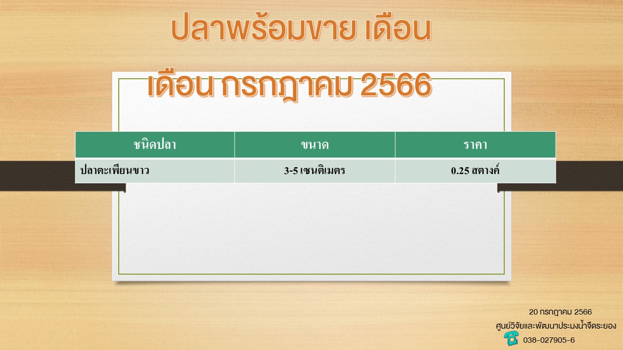 ปลาพร้อมขาย วันที่ 20 กรกฎาคม 2566..คลิก