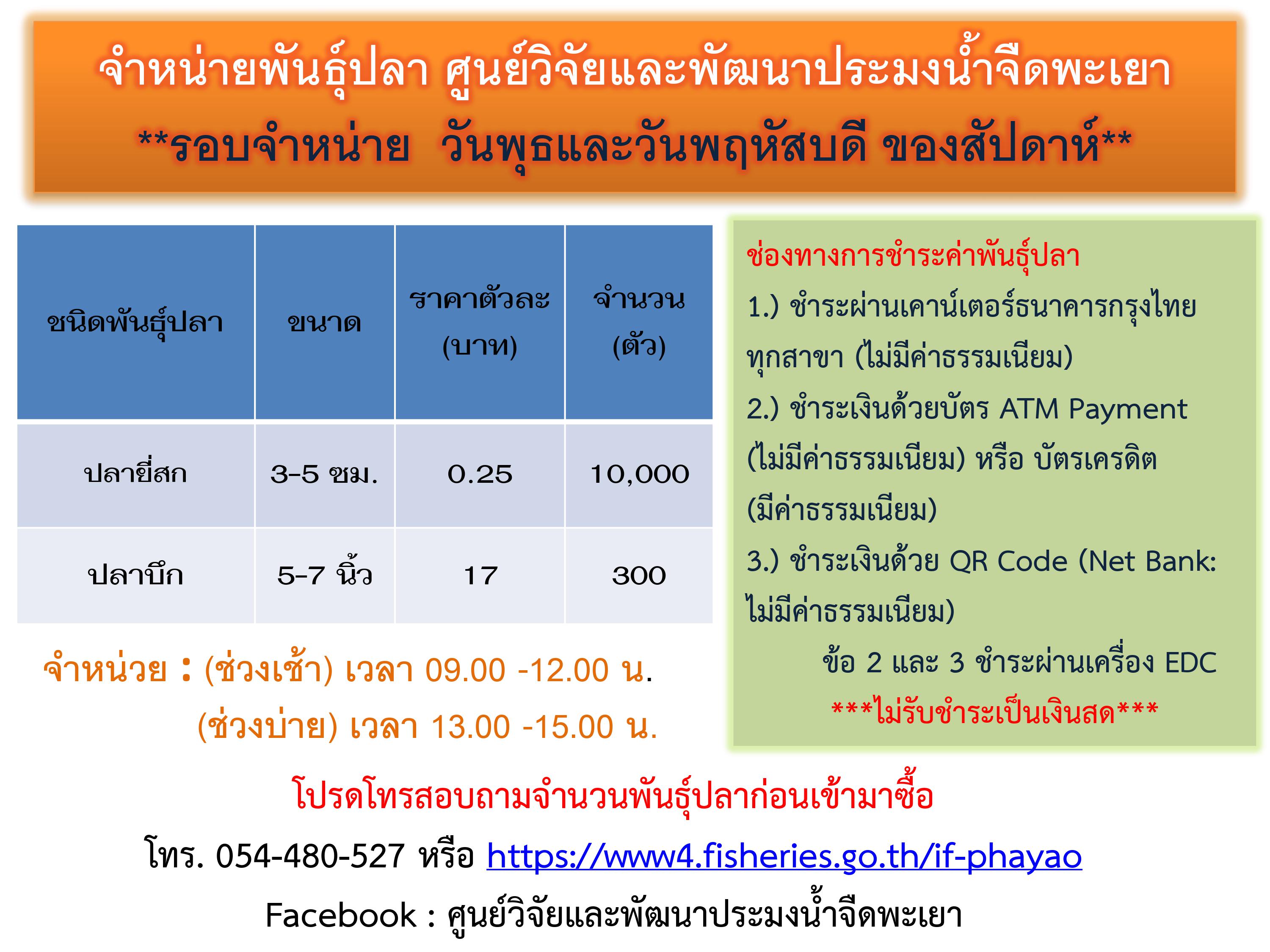 พันธุ์ปลาที่มีจำหน่าย ศูนย์วิจัยและพัฒนาประมงน้ำจืดพะเยา  รอบจำหน่าย  วันพุธและวันพฤหัสบดี ของสัปดาห์..คลิก