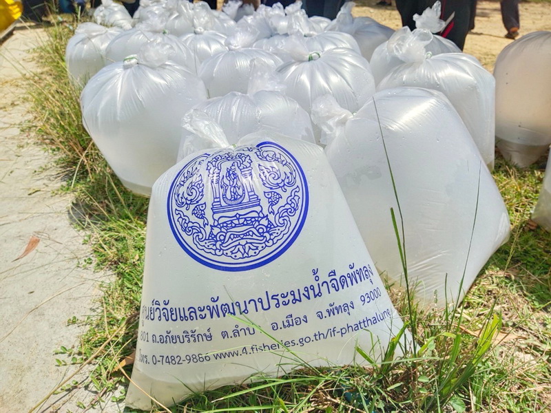 สนับสนุนพันธุ์ปลากินพืช เพื่อปล่อยลงสู่ฝายทุ่งข่า อ.ตะโหมด จ.พัทลุง..คลิก