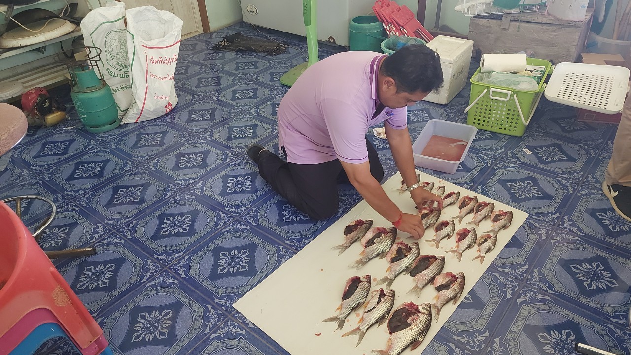 ปฏิบัติงานโครงการ  การติดตามประเมินผลมาตรการการกำหนดพื้นที่และระยะเวลา ฤดูสัตว์น้ำจืดมีไข่ หรือวางไข่ เลี้ยงตัวอ่อน เดือน กรกฎาคม 2566..คลิก