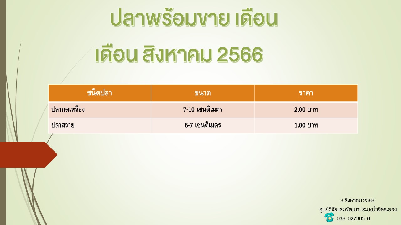 ปลาพร้อมขาย วันที่ 3 สิงหาคม 2566..คลิก