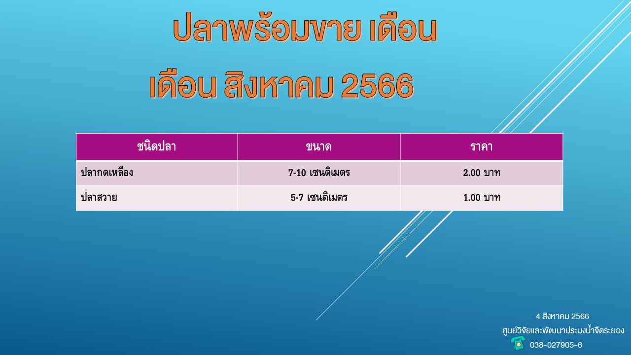 ปลาพร้อมขาย วันที่ 4 สิงหาคม 2566..คลิก