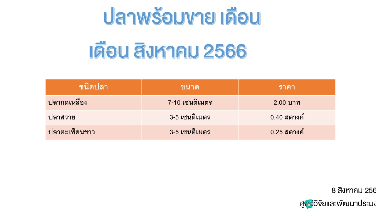 ปลาพร้อมขาย วันที่ 8 สิงหาคม 2566..คลิก
