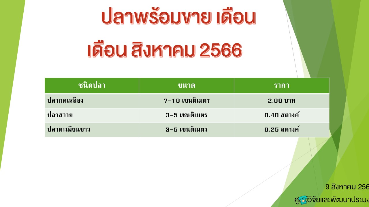 ปลาพร้อมขาย วันที่ 9 สิงหาคม 2566..คลิก