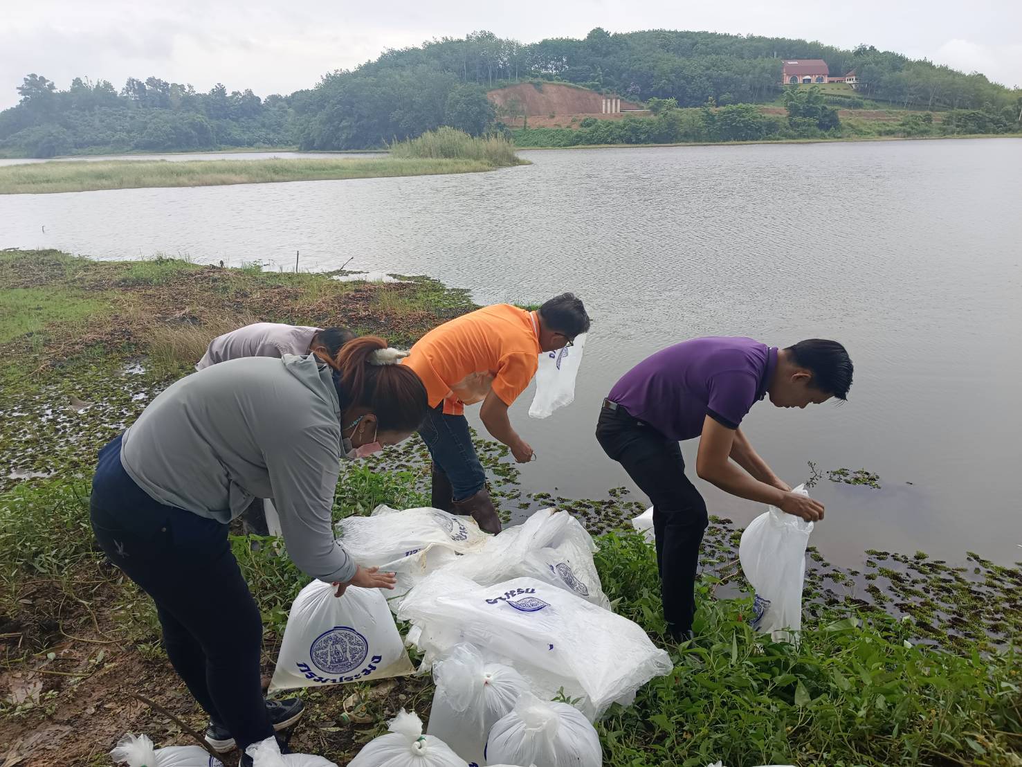 กำหนดปล่อยพันธุ์สัตว์น้ำตามโครงการปล่อยพันธุ์ปลาเพื่อรักษาระบบนิเวศในอ่างเก็บน้ำของกรมชลประทาน..คลิก