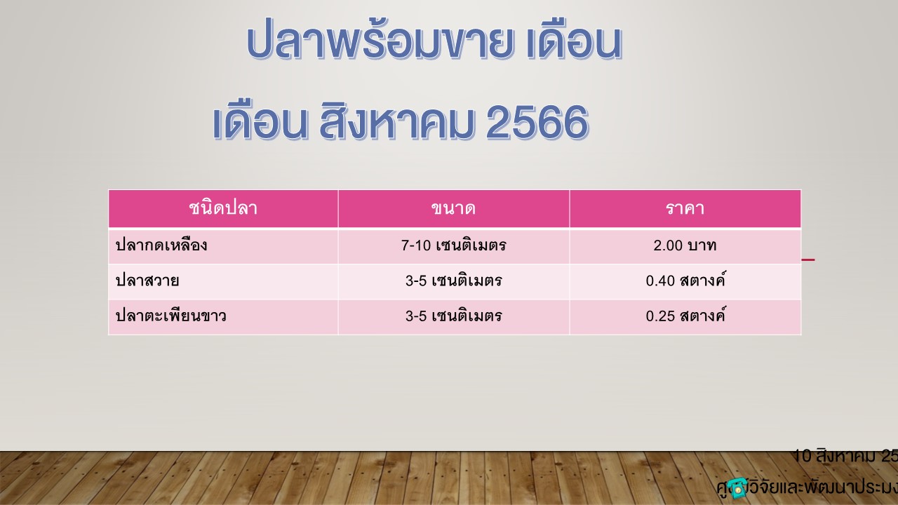 ปลาพร้อมขาย วันที่ 10 สิงหาคม 2566..คลิก
