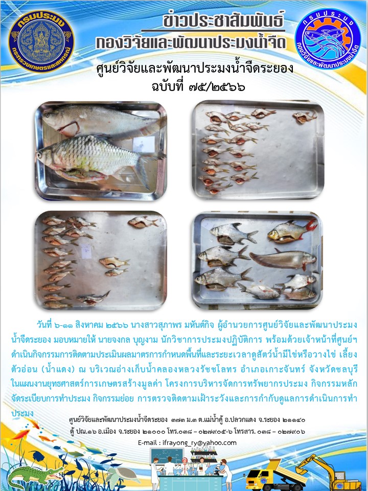 ข่าวประชาสัมพันธ์กิจกรรมฉบับที่ 75/2566..คลิก