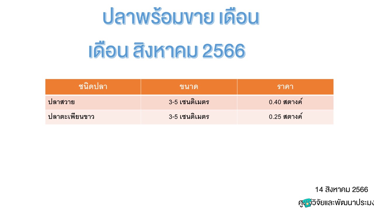 ปลาพร้อมขาย วันที่ 15 สิงหาคม 2566..คลิก