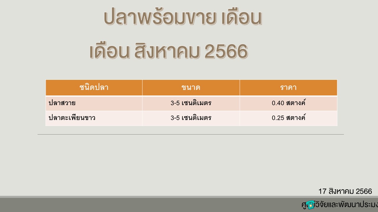 ปลาพร้อมขาย วันที่ 17 สิงหาคม 2566..คลิก