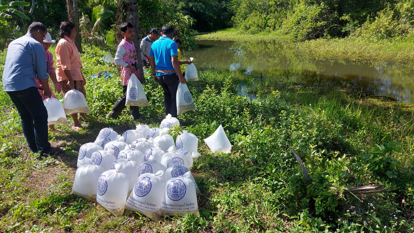 ประมงอำเภอเขาชัยสน  ปล่อยพันธ์ุสัตว์น้ำ  จำนวน 30,000 ตัว ณ แหล่งน้ำคลองแม่พือ หมู่ที่ 11  ตำบลหานโพธิ์ อำเภอเขาชัยสน จังหวัดพัทลุง..คลิก