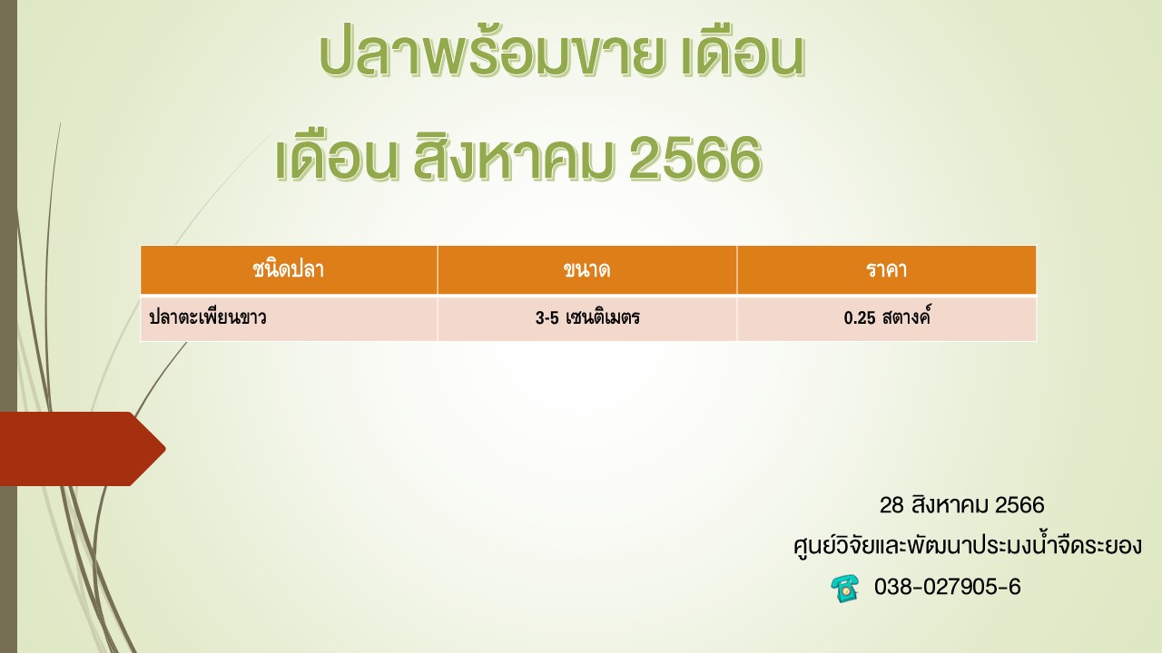 ปลาพร้อมขาย วันที่ 28 สิงหาคม 2566..คลิก